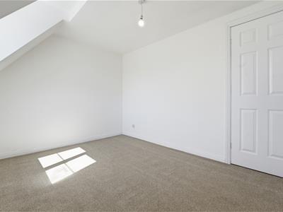 Picture 24